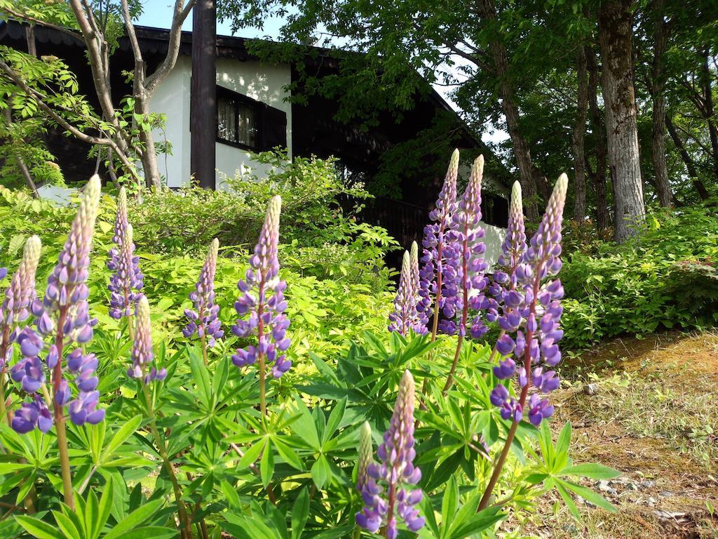 Alp Bach Madarao Villa Iiyama Exterior photo